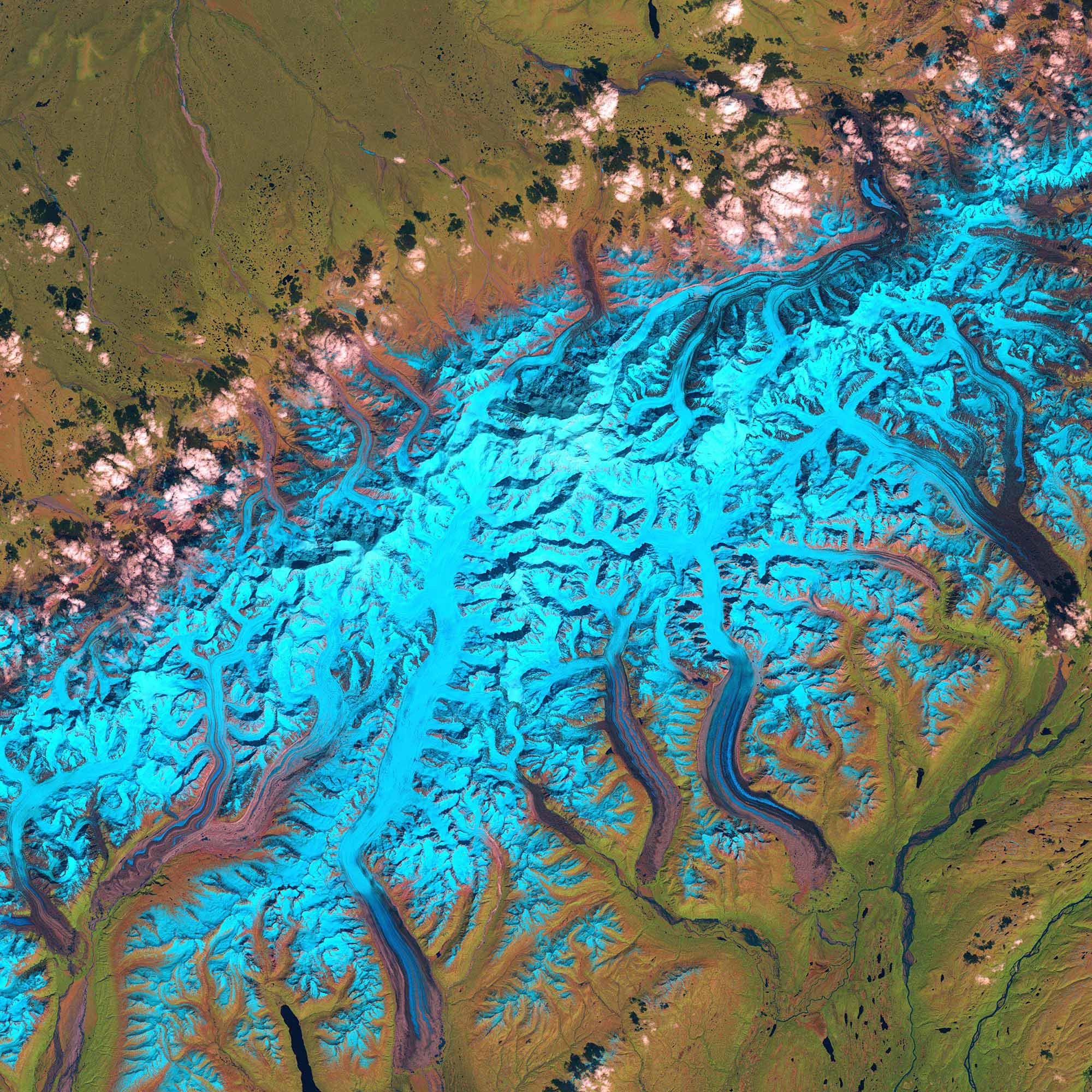 Denali mit Landsat TM