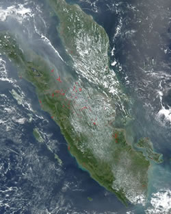 Vegetationsbr&auml;nde in Indonesien