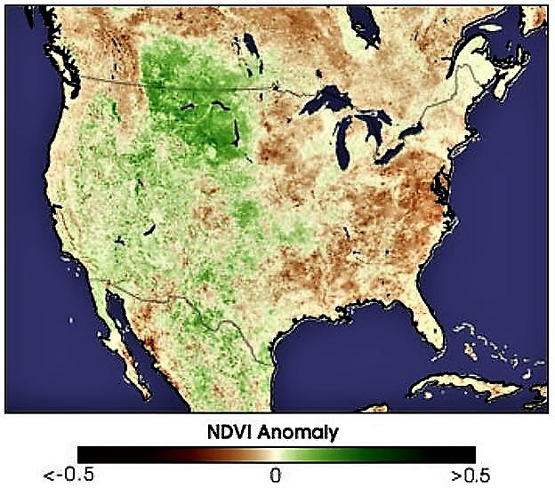 NDVI-Anomalien in Teilen N-Amerikas