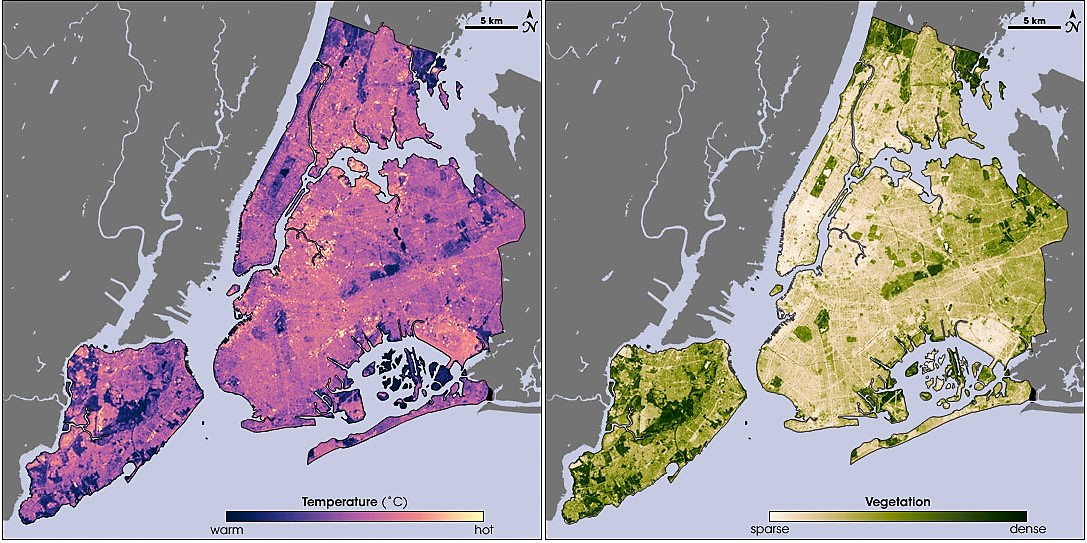 New York City Temperature and Vegetation